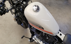 HARLEY XL1200XS 2019 LR3