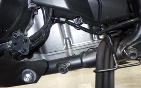 HONDA NT1100 2024 SC84