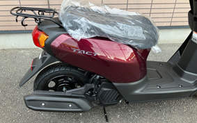 HONDA  TACT  BASIC  AF79