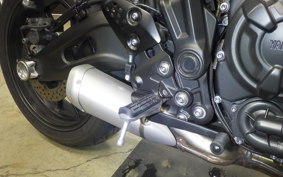 YAMAHA MT-07 2024 RM33J