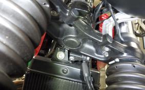 TRIUMPH SPEED TWIN 900 2024
