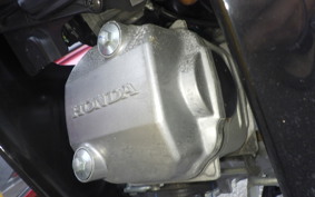 HONDA CROSS CUB 110 JA10
