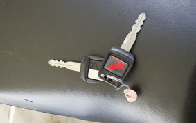 HONDA HORNET 2.0