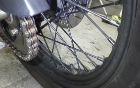 OTHER MUTT250 2025