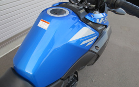 SUZUKI STROM 250ABS DS11A