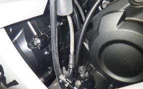 KAWASAKI ZX 1400 NINJA R A 2020