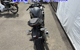 OTHER NINJA 250-2