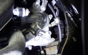 HONDA TACT Basket 2005 AF79