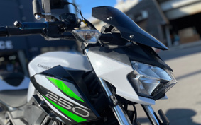 KAWASAKI Z250ABS