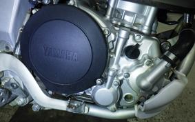 YAMAHA WR250R 2024 DG15J