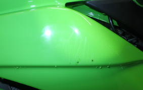 KAWASAKI NINJA 250R 2010 EX250K