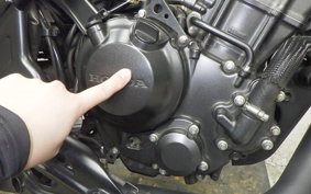 HONDA REBEL 250 S 2007 MC49