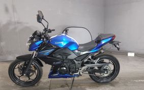 KAWASAKI Z250 ER250C
