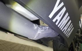 YAMAHA YZF-R25 2022 RG43J