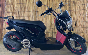 HONDA ZOOMER-X JF38
