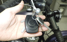 HARLEY FXBB1920 2025
