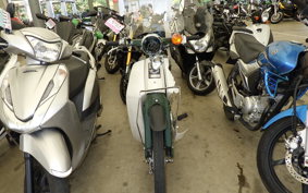 HONDA C50 SUPER CUB 2022 AA01