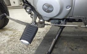 YAMAHA VIRAGO 250 2002 3DM