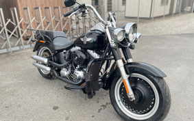 HARLEY FLSTFB 2009 JN5