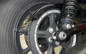 HARLEY XL1200NS 2020