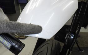 YAMAHA WR250X DG15J