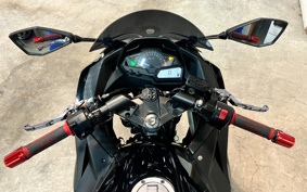 KAWASAKI NINJA 250 EX250L