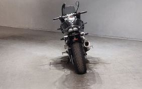 YAMAHA FZ1 FAZER 2009 RN21J
