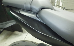 TRIUMPH DAYTONA 660 2024