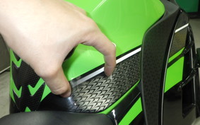 KAWASAKI NINJA 250 EX250L