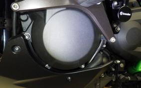 KAWASAKI NINJA H2 CARBON 2021 ZXT02J