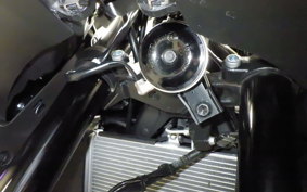 YAMAHA YZF R-3 2024 RH21J