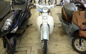 HONDA LITTLE CUB E AA01