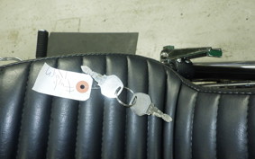 OTHER UNREGISTERED MODEL by BDS1200 2025