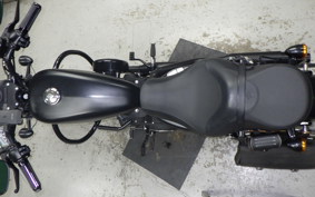 HARLEY XL883N 2020