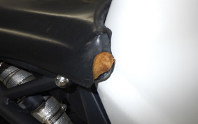 TRIUMPH DAYTONA 675 2008