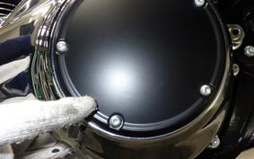 HARLEY FLSB 1750 2025