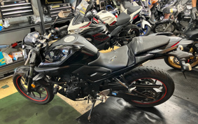 YAMAHA MT-25 RG10J