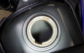 YAMAHA WR250X 2023 DG15J