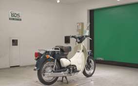 HONDA LITTLE CUB E AA01