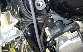HARLEY XL883LI 2017