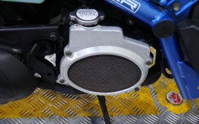 HONDA ZUMAR AF58