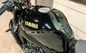 YAMAHA XSR900 2025 RN96J