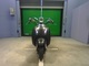 Фото Honda JOKER 50 с японского аукциона