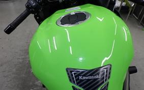 KAWASAKI ZX-4RR 2023 ZX400P