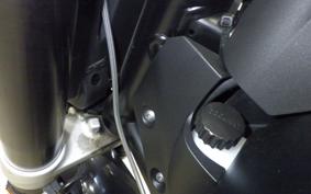KTM 690 DUKE 2017