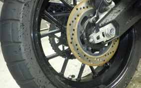 DUCATI SCRAMBLER ICON 2023