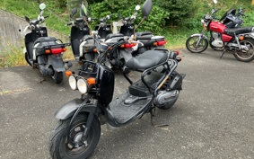 HONDA ZUMAR AF58