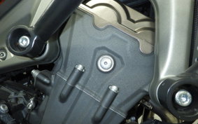 YAMAHA MT-09 2014 RN34J