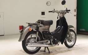 HONDA LITTLE CUB 2010 AA01