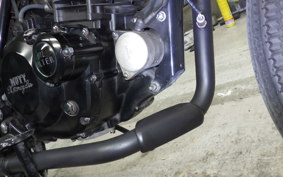 OTHER MUTT250 2025